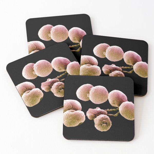 Item preview, Photograph of Streptococcus pneumoniae Bacteria, SEM designed and sold by ScienceSource.