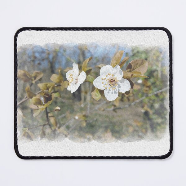 Item preview, Happy spring wild cherry flowers digital watercolor original artwork designed and sold by paragonDesign28.