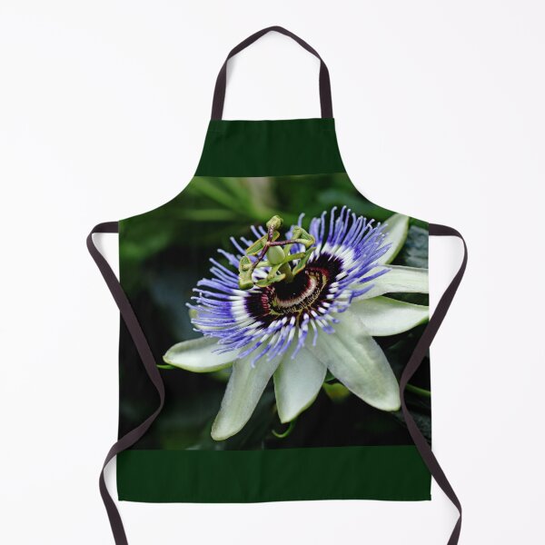 Item preview, Blue Crown Passion Flower designed and sold by Debbie Oppermann.