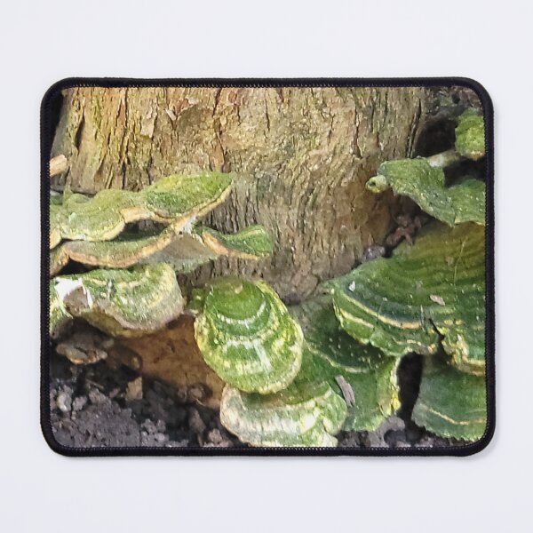 Item preview, Tree Trunk Rotting Mushrooms designed and sold by YikosCastle.