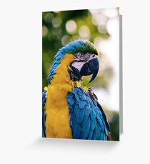Our Lives Matter Too Greeting Card