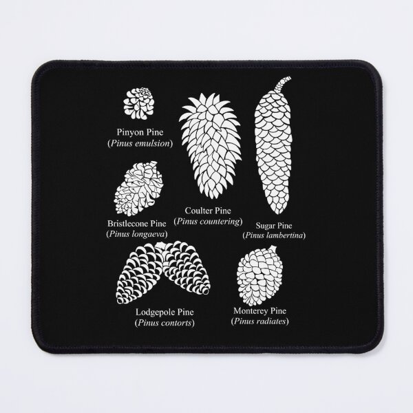 Item preview, What Kind of Pine Cone is it? Now You Know! designed and sold by Izzys-Window.