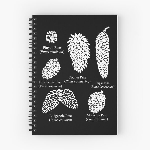 Item preview, What Kind of Pine Cone is it? Now You Know! designed and sold by Izzys-Window.