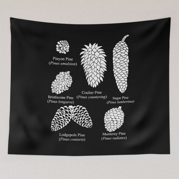 Item preview, What Kind of Pine Cone is it? Now You Know! designed and sold by Izzys-Window.