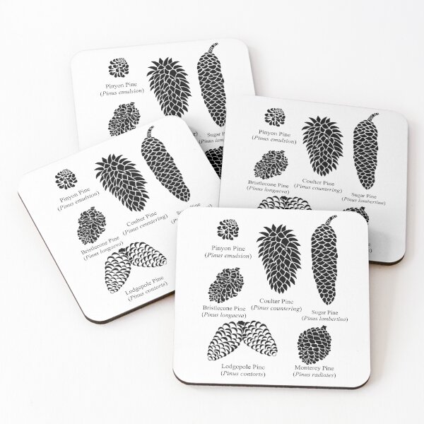 Item preview, What Kind of Pinecone is it? Now You Know! designed and sold by Izzys-Window.