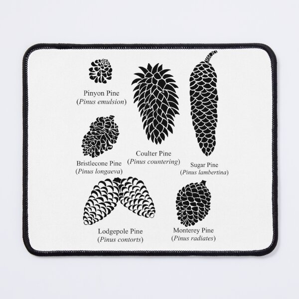 Item preview, What Kind of Pinecone is it? Now You Know! designed and sold by Izzys-Window.