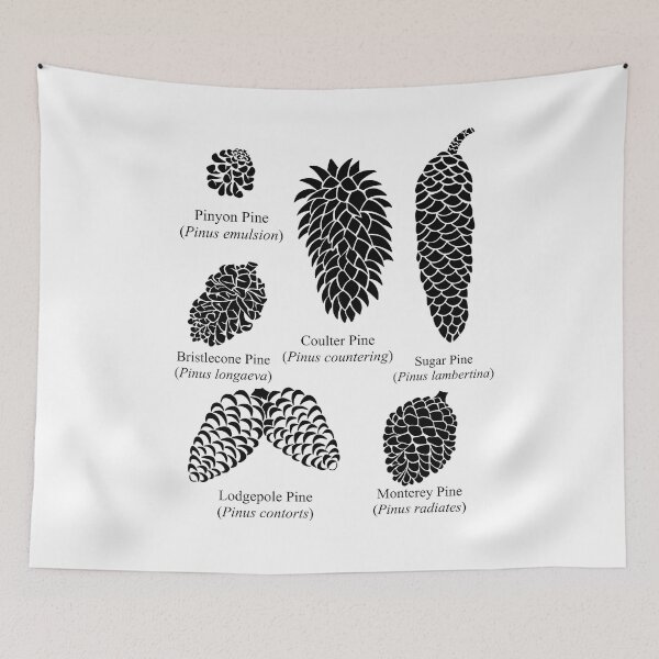 Item preview, What Kind of Pinecone is it? Now You Know! designed and sold by Izzys-Window.