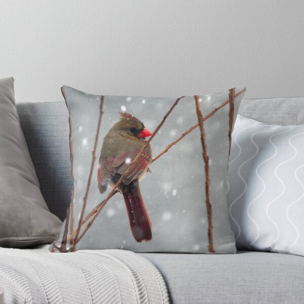Item preview, Coy Claudia designed and sold by WalnutHill.