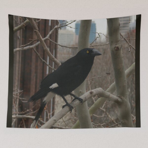 Item preview, Pied Currawong DPG150611 designed and sold by CSteenArt.