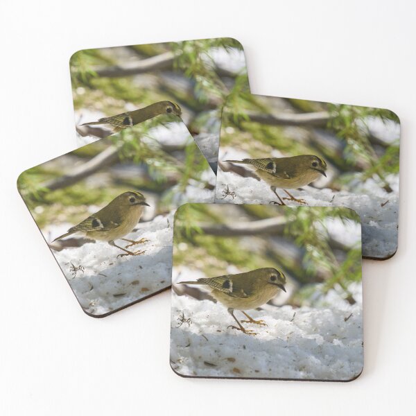 Item preview, Goldcrest finally stopping designed and sold by Jouko Lehto Photography.