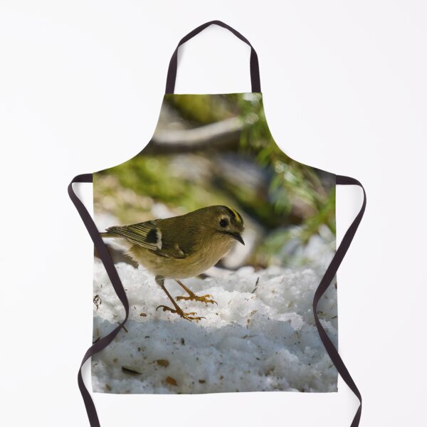 Item preview, Goldcrest finally stopping designed and sold by Jouko Lehto Photography.