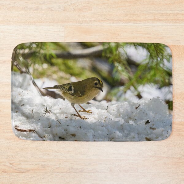 Item preview, Goldcrest finally stopping designed and sold by Jouko Lehto Photography.