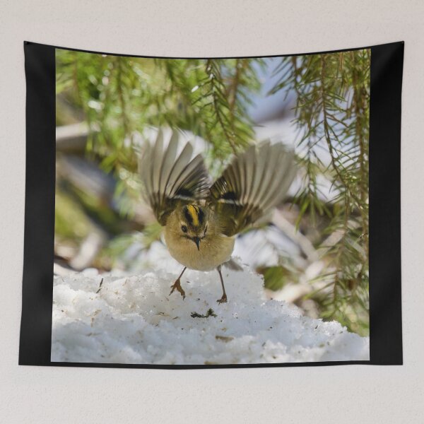 Item preview, Goldcrest wings designed and sold by Jouko Lehto Photography.