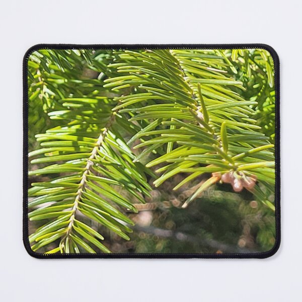 Item preview, Everygreen Tree Needles Photography designed and sold by IrvineCreek.