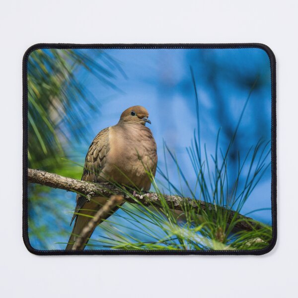 Item preview, Majestic Dove With A Blue Sky designed and sold by TinyDinoDesigns.