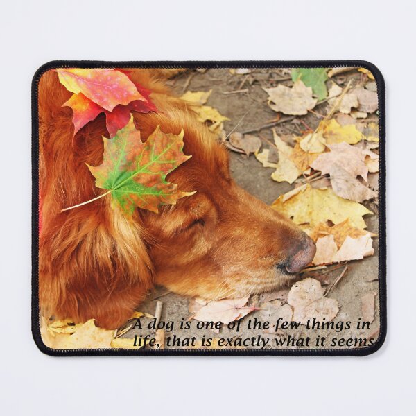 Item preview, Uncomplicated designed and sold by Deb Oppermann.