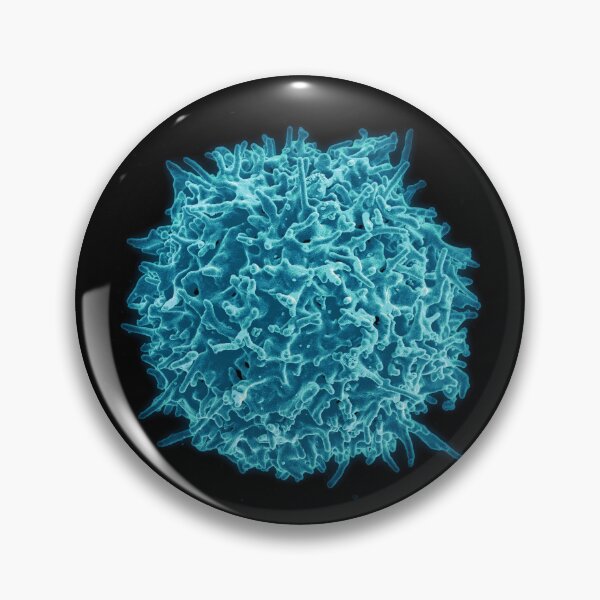 Item preview, Immune System, Human T Cell, SEM designed and sold by ScienceSource.