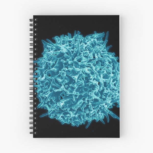 Item preview, Immune System, Human T Cell, SEM designed and sold by ScienceSource.
