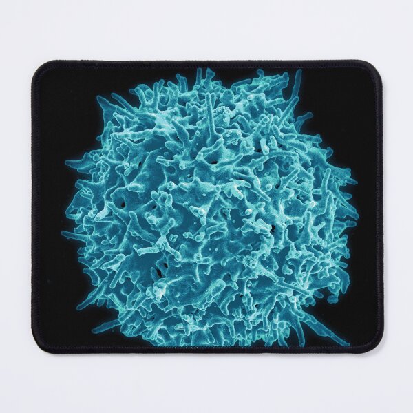 Item preview, Immune System, Human T Cell, SEM designed and sold by ScienceSource.