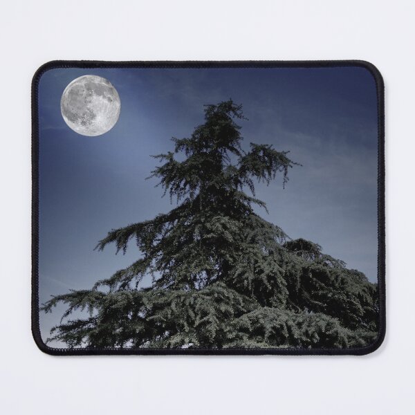 Item preview, Pine Tree on Blue Moonlight designed and sold by ALEX PHOTO DREAMS.