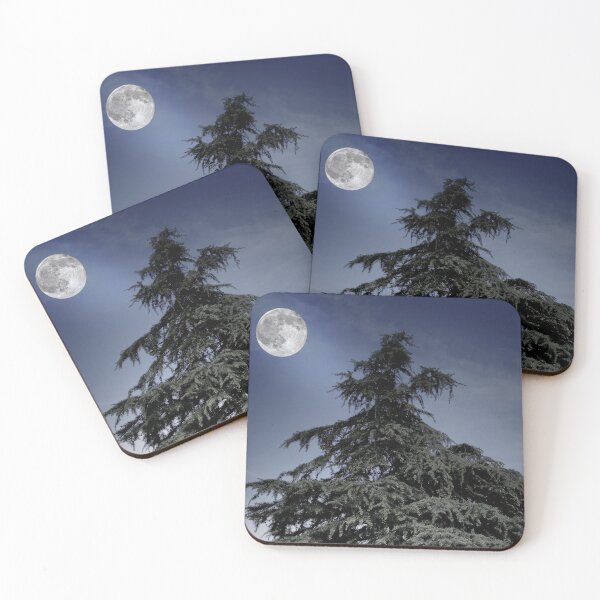 Item preview, Pine Tree on Blue Moonlight designed and sold by ALEX PHOTO DREAMS.