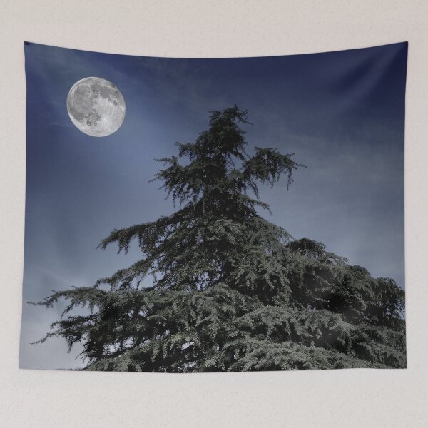 Item preview, Pine Tree on Blue Moonlight designed and sold by ALEX PHOTO DREAMS.