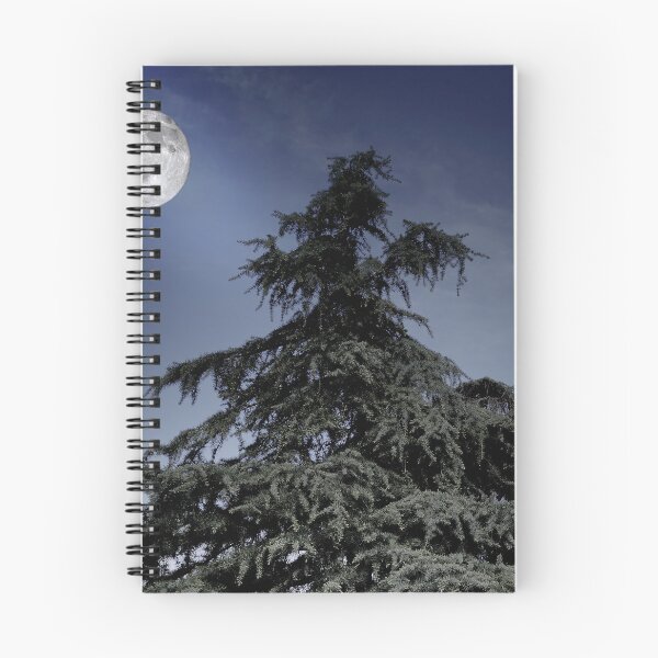 Item preview, Pine Tree on Blue Moonlight designed and sold by ALEX PHOTO DREAMS.
