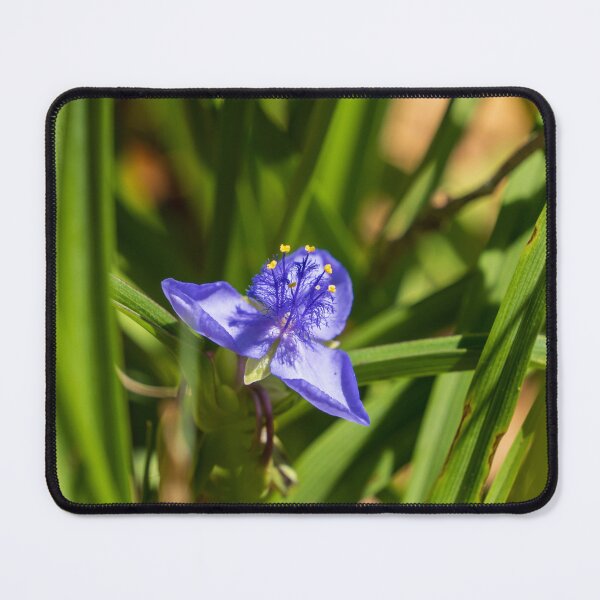 Item preview, Tiny Bluejacket designed and sold by TinyDinoDesigns.