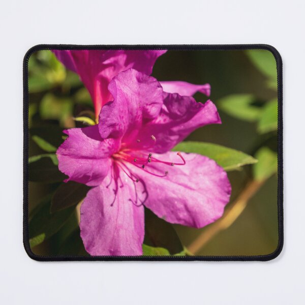 Item preview, Satsuki Azalea designed and sold by TinyDinoDesigns.