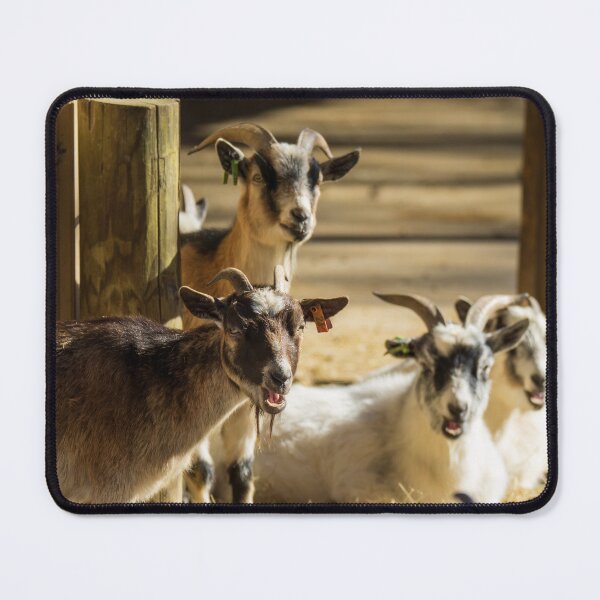Item preview, Jaw Dropped Goats designed and sold by TinyDinoDesigns.