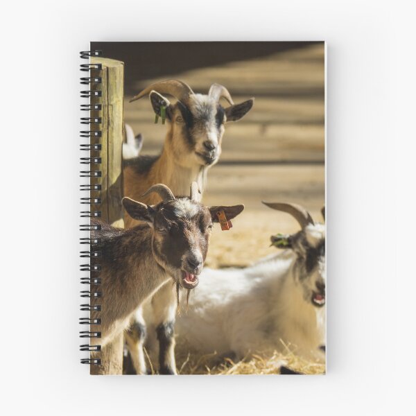 Item preview, Jaw Dropped Goats designed and sold by TinyDinoDesigns.