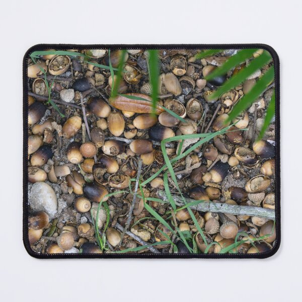 Item preview, Acorns Galore designed and sold by TinyDinoDesigns.
