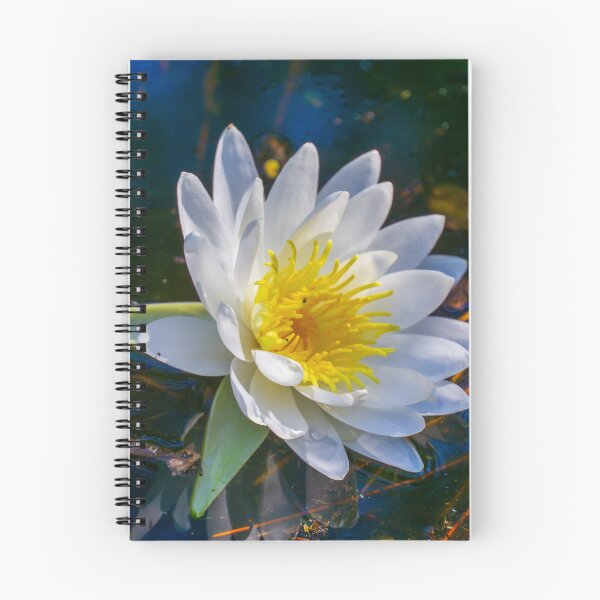 Item preview, White Waterlily designed and sold by TinyDinoDesigns.