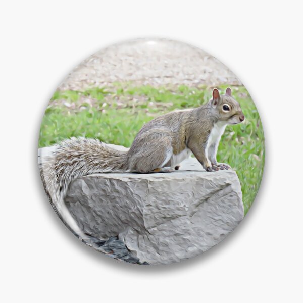 Item preview, Grey Squirrel on Rock No.1 designed and sold by MaryLinH.