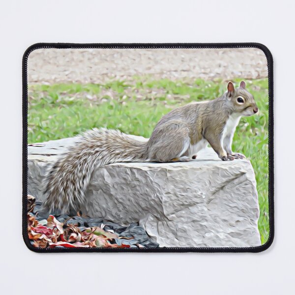Item preview, Grey Squirrel on Rock No.1 designed and sold by MaryLinH.