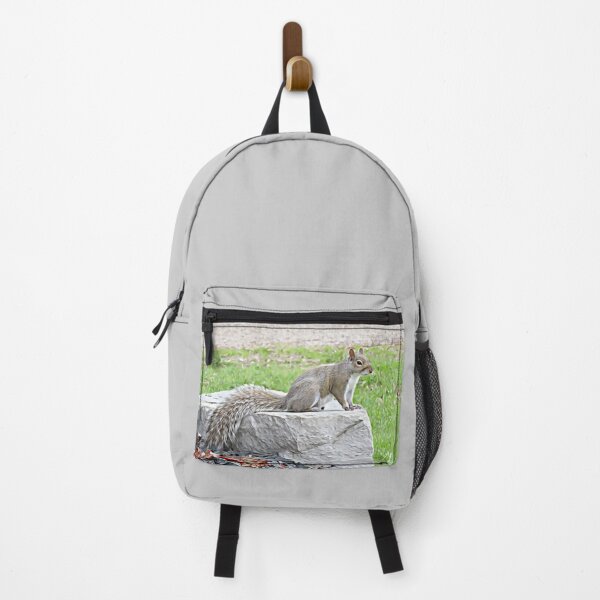 Item preview, Grey Squirrel on Rock No.1 designed and sold by MaryLinH.