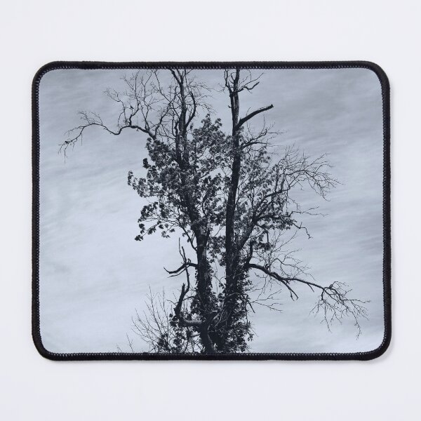Item preview, GrandFather Tree designed and sold by fototaker Tony.
