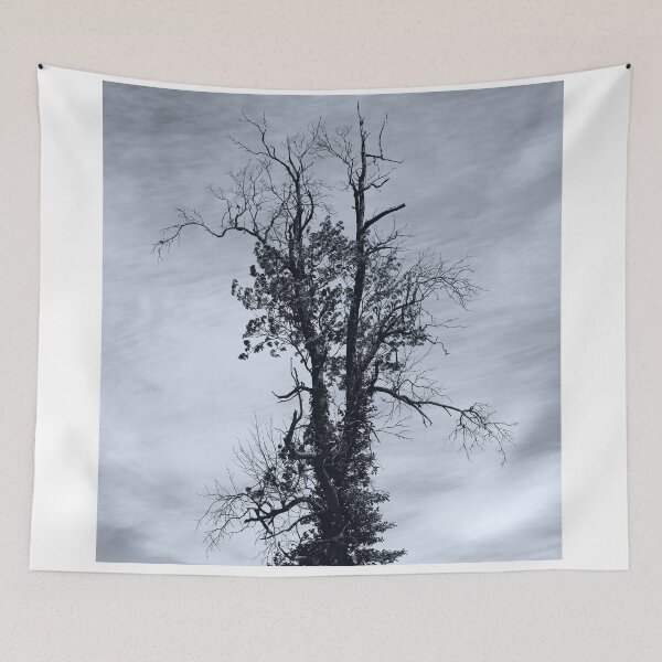Item preview, GrandFather Tree designed and sold by fototaker Tony.