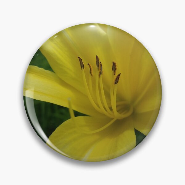 Artikelvorschau, Lily Yellow - Original Photography entworfen und verkauft von JulienneJc.