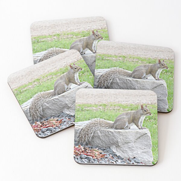 Item preview, Grey Squirrel on Rock No.1 designed and sold by MaryLinH.