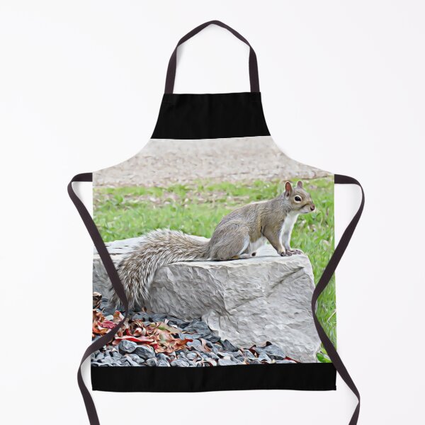 Item preview, Grey Squirrel on Rock No.1 designed and sold by MaryLinH.