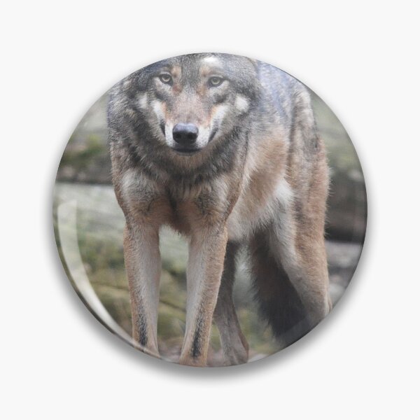 Item preview, Wild wolf designed and sold by federicousai.