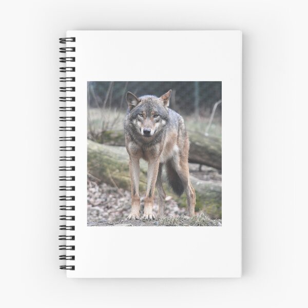 Item preview, Wild wolf designed and sold by federicousai.