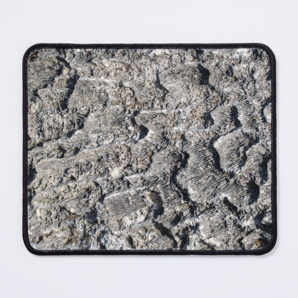 Item preview, Coral Fossil designed and sold by TinyDinoDesigns.