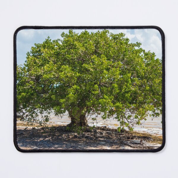 Item preview, Beach Tree designed and sold by TinyDinoDesigns.