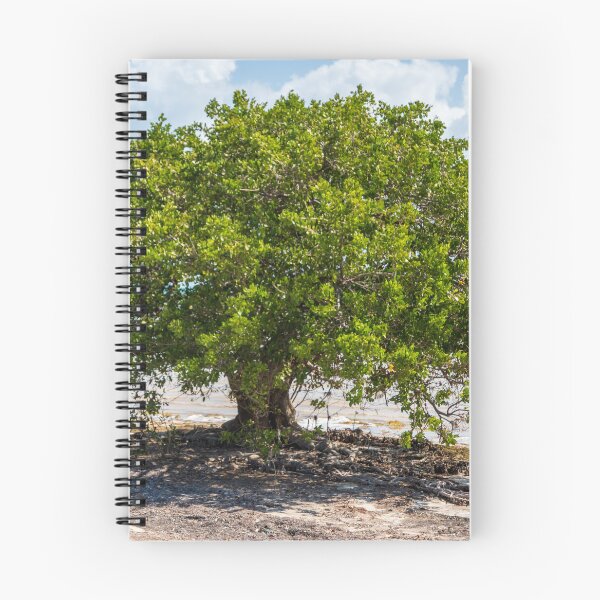 Item preview, Beach Tree designed and sold by TinyDinoDesigns.