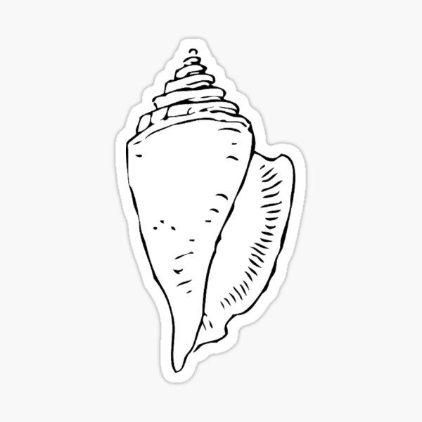 "Shell" Sticker for Sale by 203stickers Redbubble