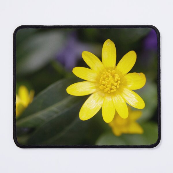 Item preview, Yellow flowers in spring garden designed and sold by olena2552.