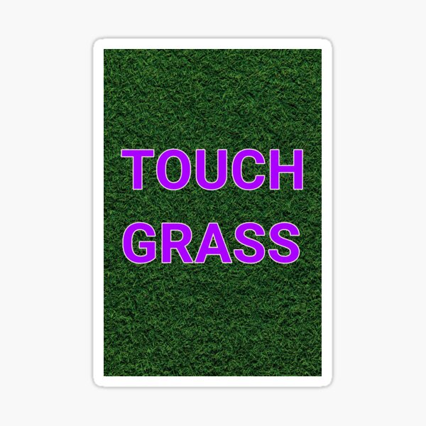 Funny Meme Gift Touch Grass Poster for Sale by kmcollectible