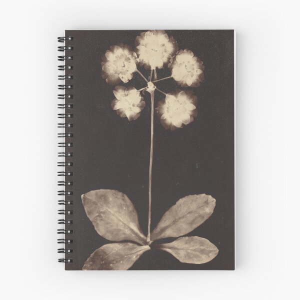 Item preview, Botanical Photogram II, 1860s designed and sold by kathrynhw.
